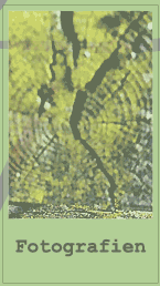 FOTOGRAFIEN